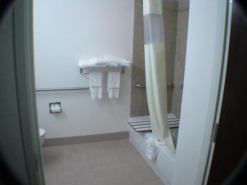 Budget Host Inn and Suites Cameron - image 4