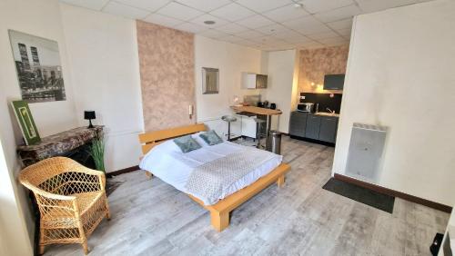 Appart hôtel Roanne hyper centre ville - Accommodation - Roanne