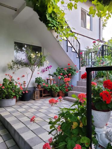 Vila Didi, Mangalia