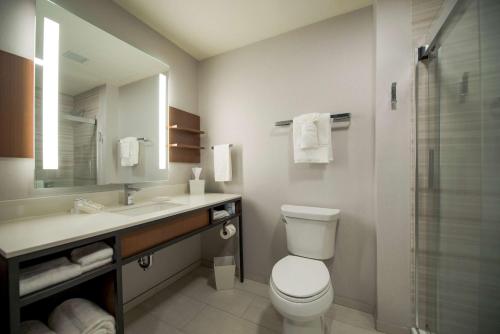 Hilton Garden Inn Wausau Wi - image 9