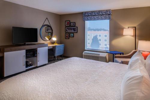 Hampton Inn & Suites Detroit/Wixom in 威克瑟姆