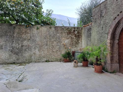 Ca' Leoni, Dro (fotografie 6)