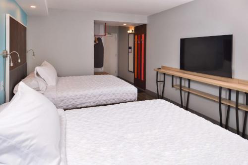 Tru By Hilton Stuttgart - image 12