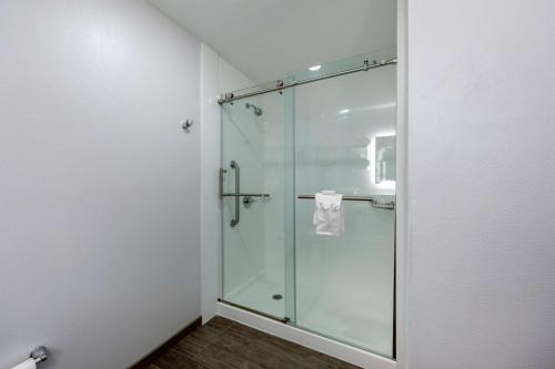 Hampton Inn & Suites Ruidoso Downs - image 6
