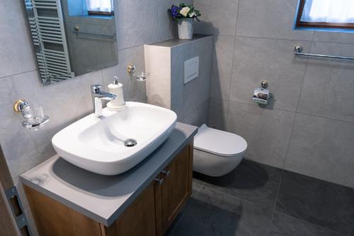 Apartma pr' Gamilcu in Толмін