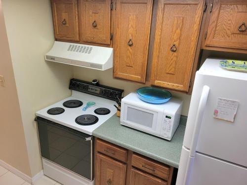 309 - 2 Bedroom Ocean View, New Smyrna Beach (Foto 7)