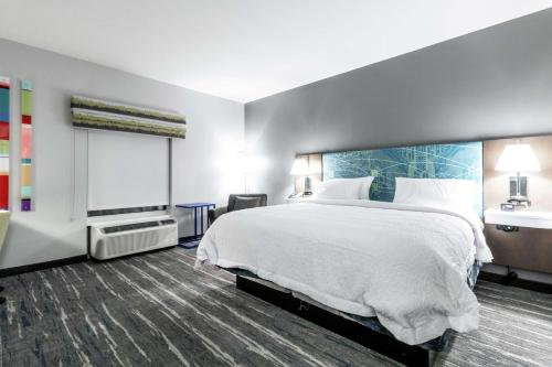 Hampton Inn Locust Grove - image 2