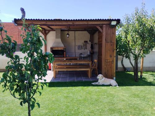  Miradoralaribera Chalet rural in Alcoba de la Ribera