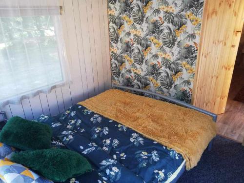 Domek przy pokojach gościnnych Pod Tują (Domek przy pokojach goscinnych Pod Tuja) in Wiselka