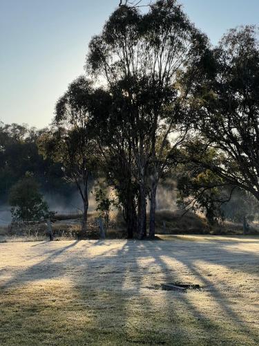 Serenity on Stanthorpe