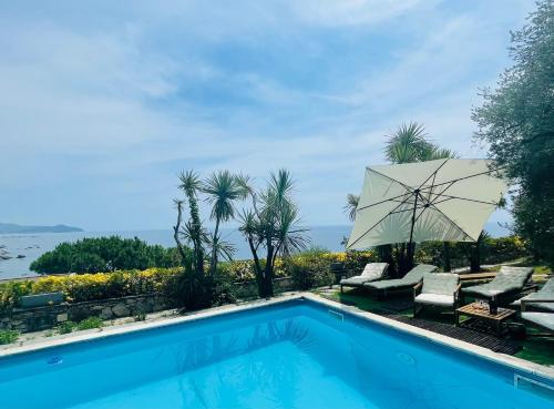Sea view Villa with big swimming pool and private beach - Accommodation - Zoagli