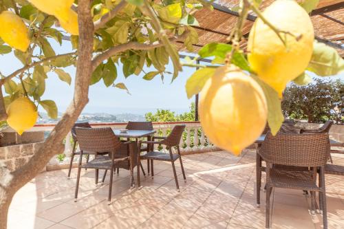 Hotel Ape Regina - image 8