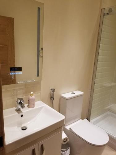 London Luxury Apartment 4 Bedroom Sleeps 12 People With 4 Bathrooms 1 Min Walk From Station - Ilford