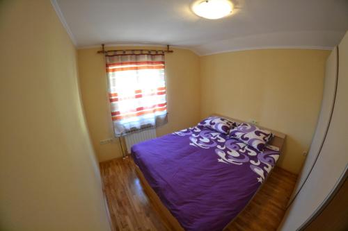 Ribarićevi dvori - image 2
