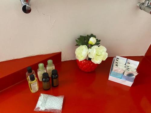 Karol Apartment Rome – Rome