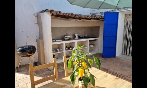 Lemontree house set in the countryside. in Santa Catarina