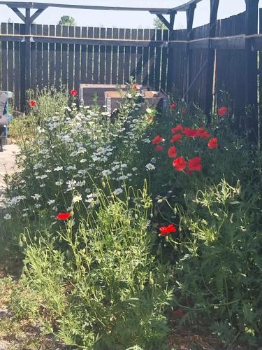  Rustic Farmhouse - Private Home in Stokkemarke