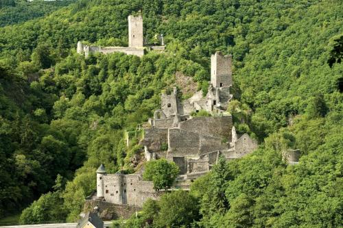 Ferienwohnung in der Vulkaneifel "Opp der Holl"