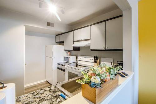 Huge & Unique 2BR/1BA Pet-friendly Family Condo in West Baltimore