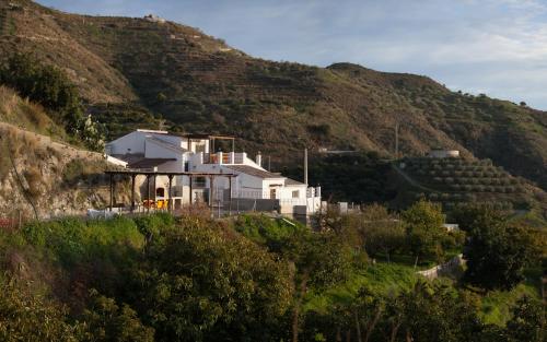  Finca La Herradura, Pension in La Herradura