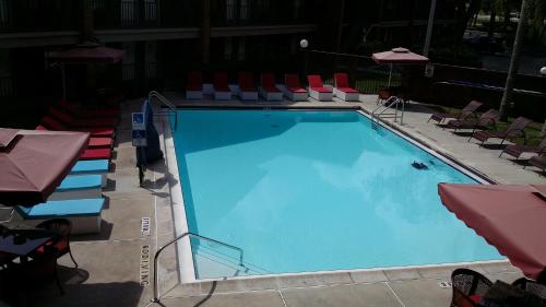 Swimming pool, Ramada by Wyndham Temple Terrace/Tampa North near Lettuce Lake Regional Park