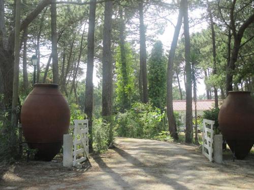  Casa do Páteo, Aldeia do Meco bei Lagoa de Albufeira