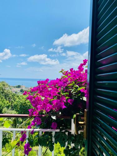 Hotel Villa Degli Aranci – Maratea, AZ