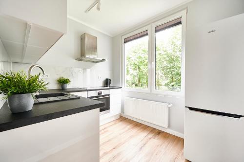 kuhinja, GM Apartament u Profesora in Osiedle Podgrodzie