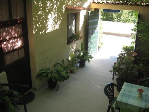Apartments Darinka - image 4