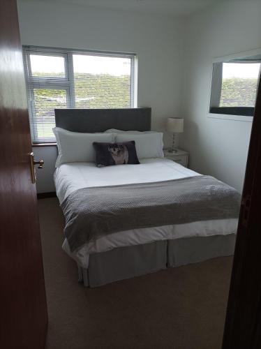 Ard Falcon in Cork Airport