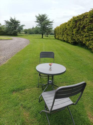 Ard Falcon in Cork Airport