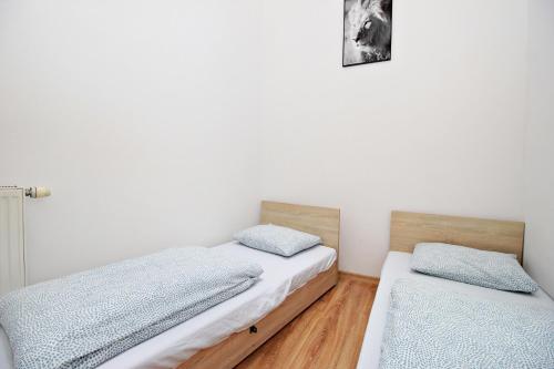 Hostel Cinnamon – Krakow, NY