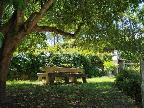 Casal Do Crego Room Type - Holiday Home