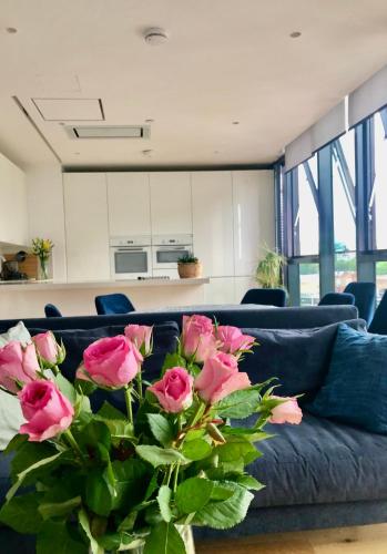 Luxury 2 bedroom apartment 20 min from central London, Londres
