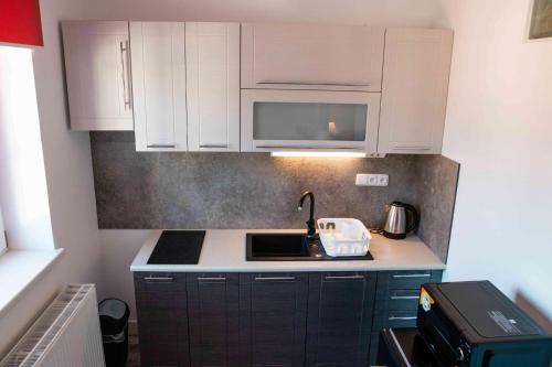 مطبخ, Vila Potštejn (Vila Potstejn) in Potstejn