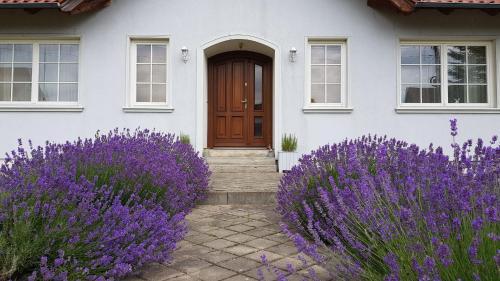 Błękitny Domek Błękitny Domek