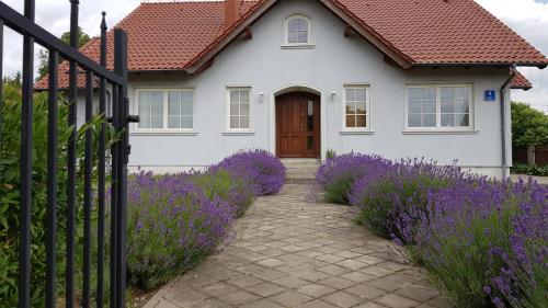 Błękitny Domek Błękitny Domek