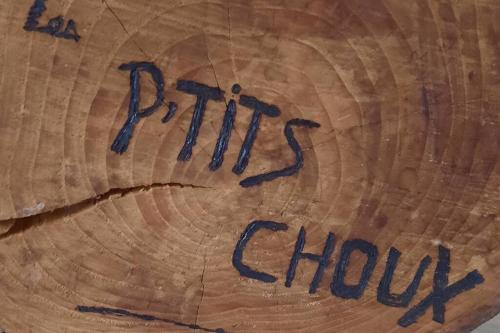 Gîte Les ptits choux - Location saisonnière - Saint-Quentin-la-Motte-Croix-au-Bailly