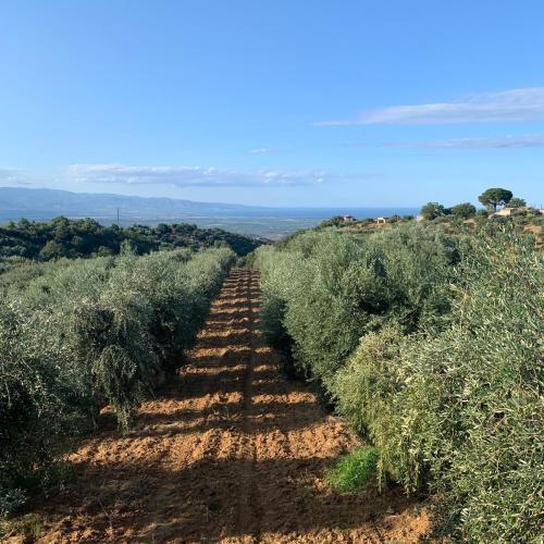 Tenute Librandi Agriturismo