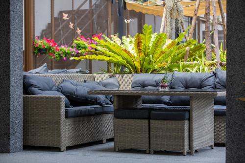 サバイ ウイング