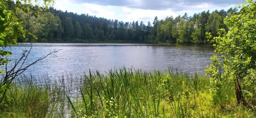 Błękitny Domek Błękitny Domek