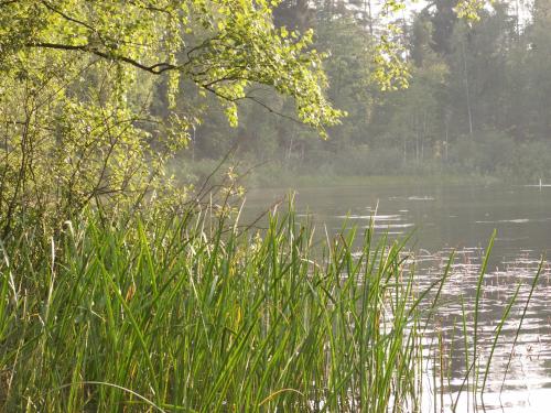 Błękitny Domek Błękitny Domek