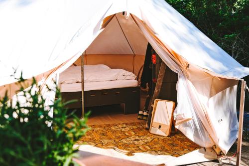 DOMO CAMP Sylt - Glamping Camp