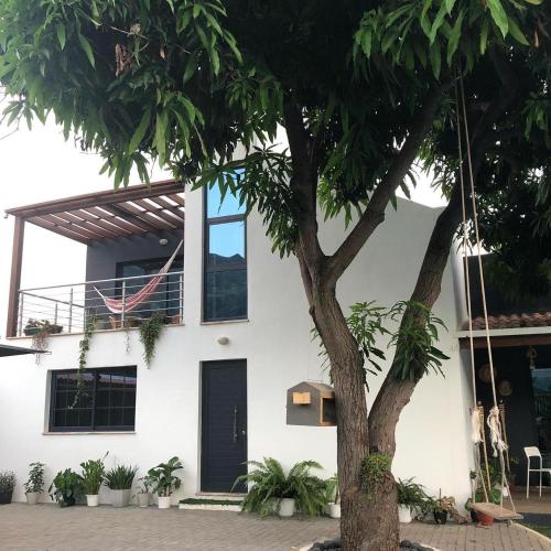 ทัศนียภาพภายนอกโรงแรม, Finca Pedra Molar in รุยวาซ