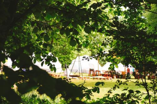 Glamping Camp mit Komfortzelten in Losheim am See