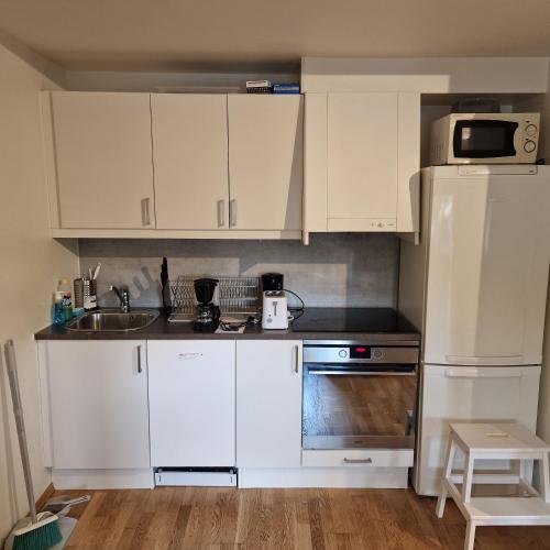 Spacious 1 bedroom apartment