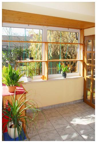 Pension Alter Zausel - image 2