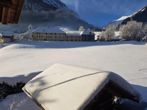 Appartement cosy aux Aravis (Clusaz/Grand-Bornand) in Entremont