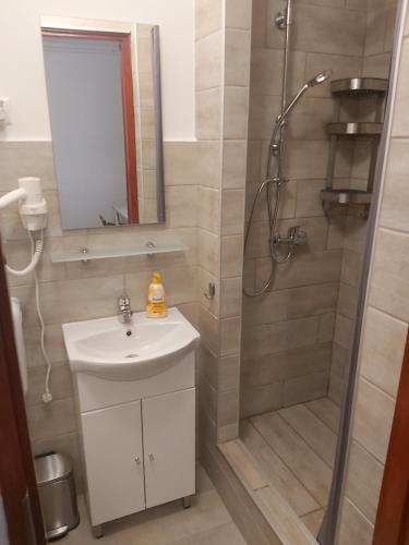 Guest House Orczy Park - image 2