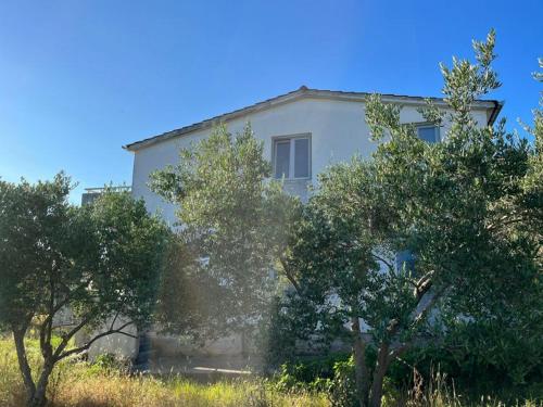 Haus Braco